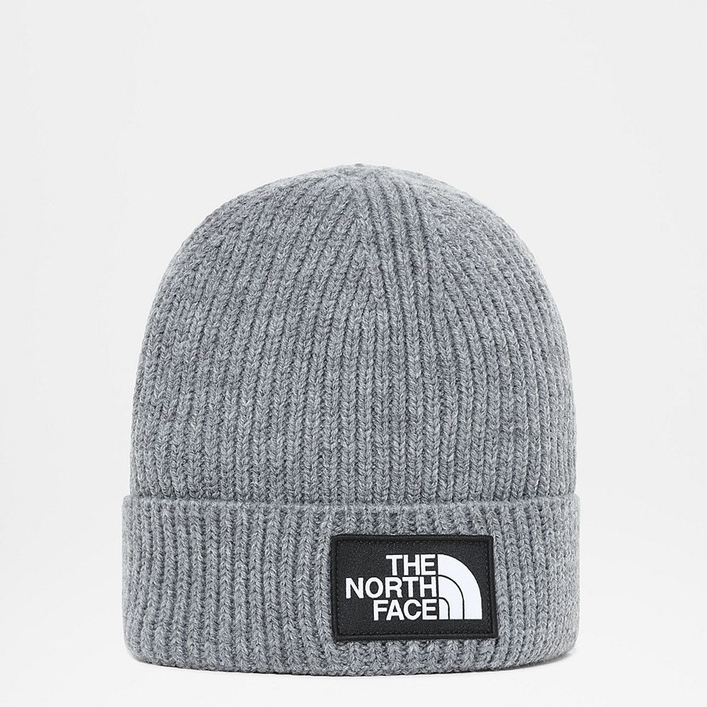 The North Face Beanies Youth Australia - The North Face Tnf Box Logo Cuff Grey (UNA-431256)